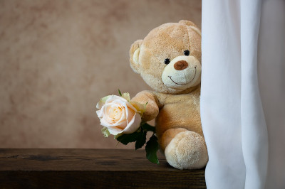 rose-4788688_960_720.jpg