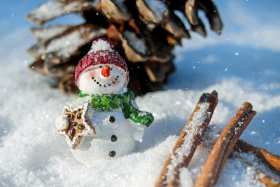 snowman-1882635_1280.jpg