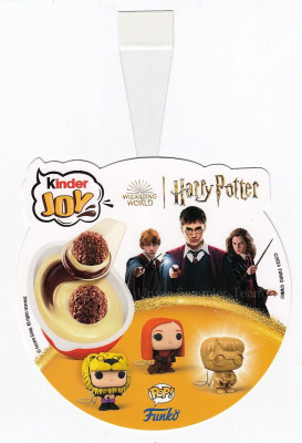 Pah-HarryPotter2024-Polen.jpg