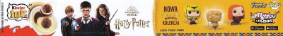 Regalstreifen-HarryPotter2024-Polen.jpg