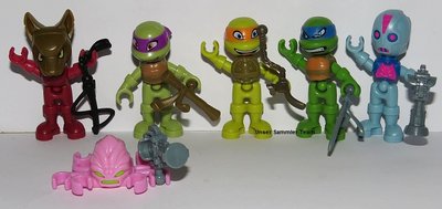 ueei-turtles-2018-3.jpg